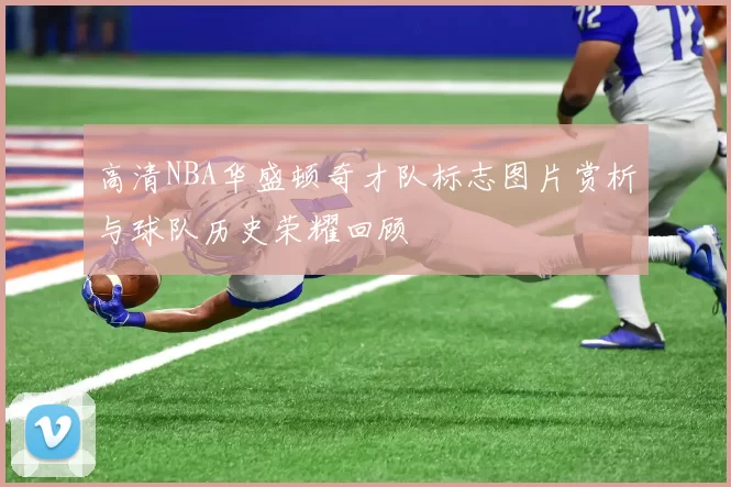 高清NBA华盛顿奇才队标志图片赏析与球队历史荣耀回顾