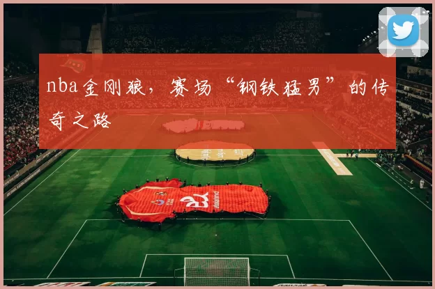 nba金刚狼,赛场“钢铁猛男”的传奇之路
