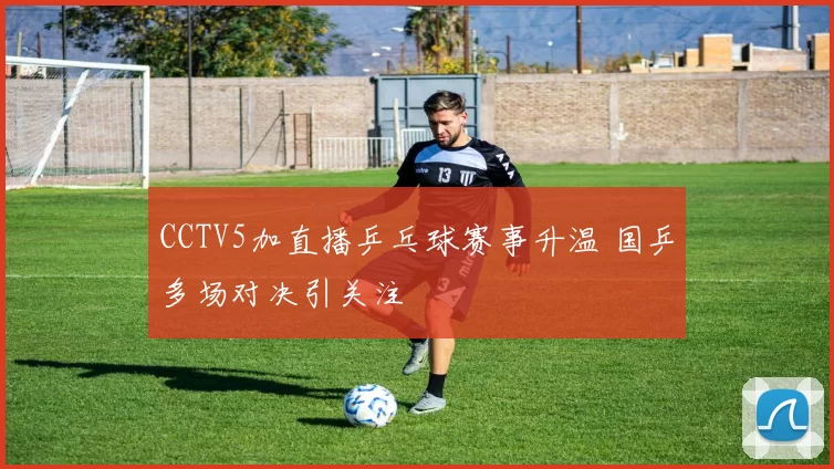 CCTV5加直播乒乓球赛事升温 国乒多场对决引关注