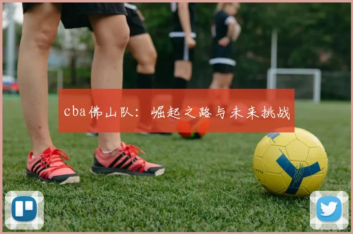 cba佛山队：崛起之路与未来挑战