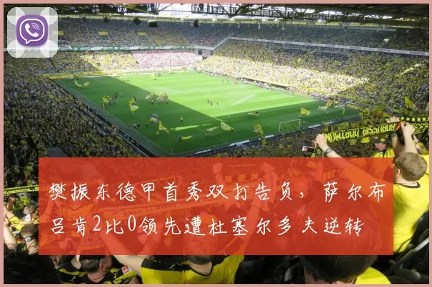 樊振东德甲首秀双打告负,萨尔布吕肯2比0领先遭杜塞尔多夫逆转
