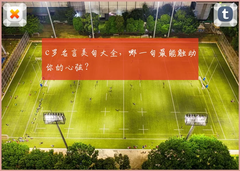 c罗名言美句大全，哪一句最能触动你的心弦？