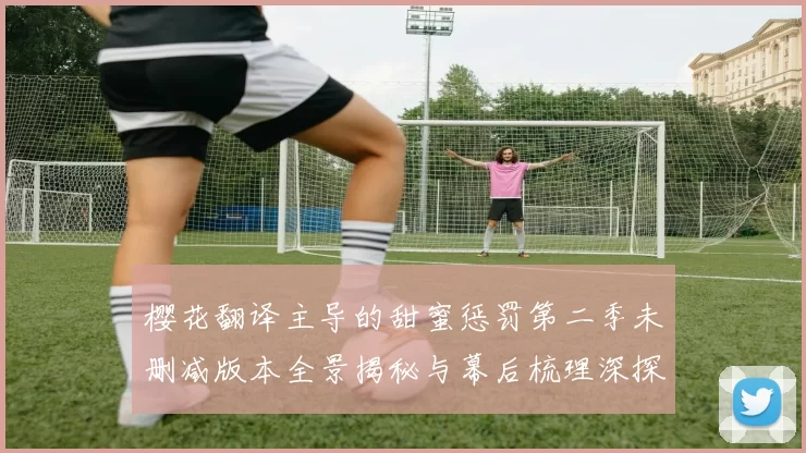 樱花翻译主导的甜蜜惩罚第二季未删减版本全景揭秘与幕后梳理深探